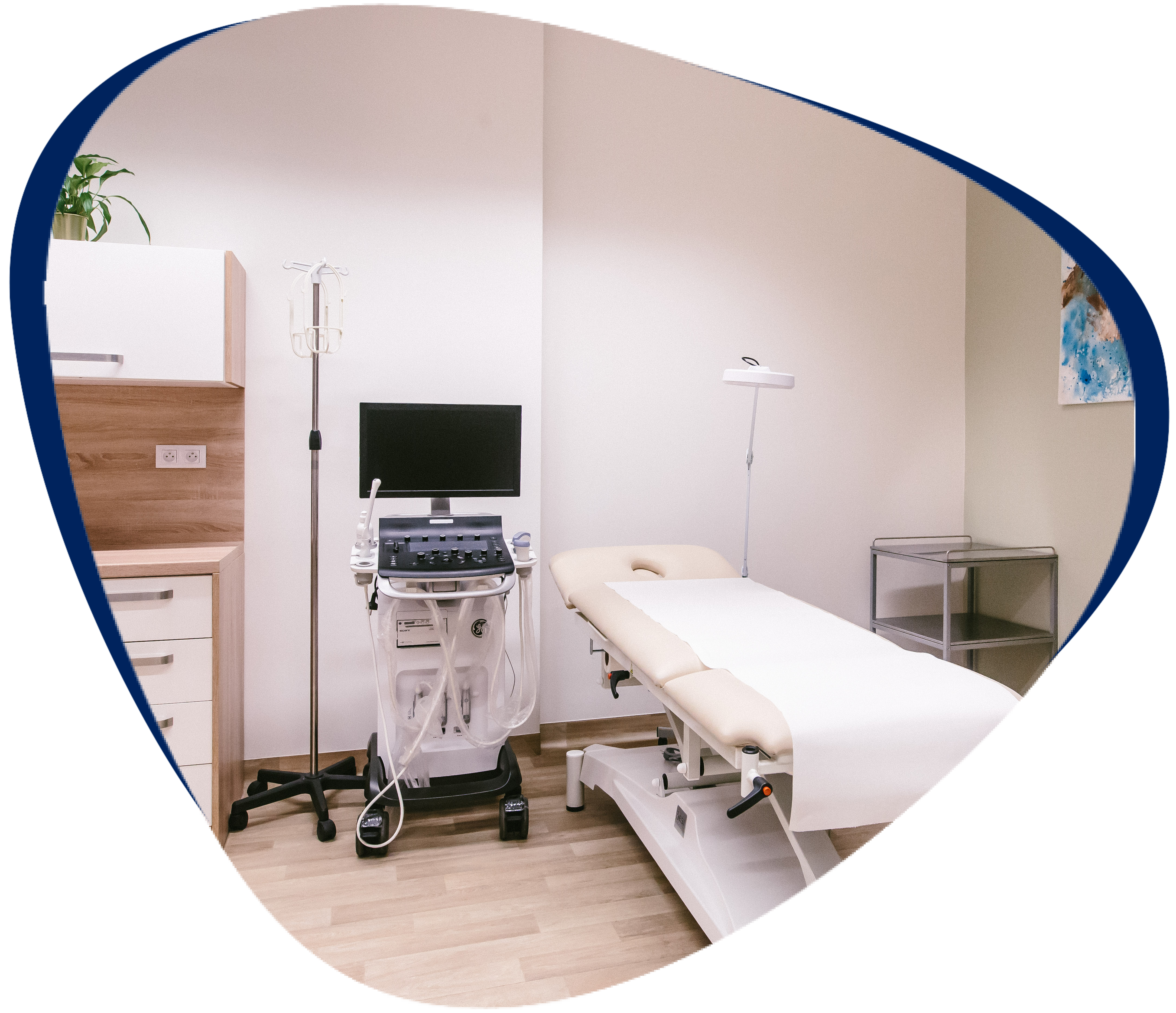 Gastroenterologie (Praha)