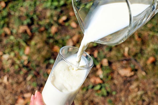 Mýty spojené s konzumací mléka a mléčných výrobků - Fotka